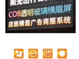 TOA-C 系列LED车载屏)TOA-C Series LED Vehicle Display